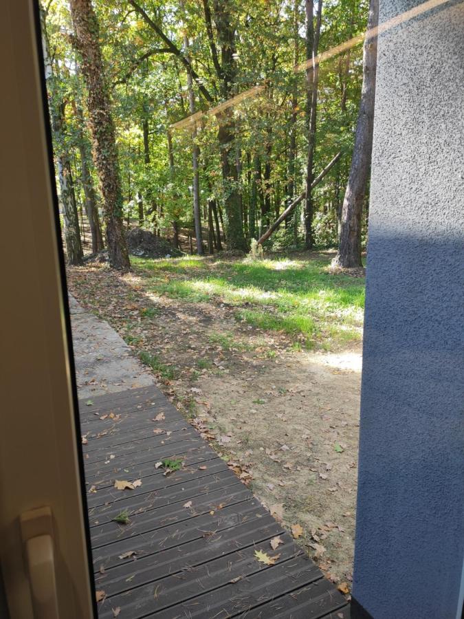 Apartament Nad Jeziorem Слава Экстерьер фото